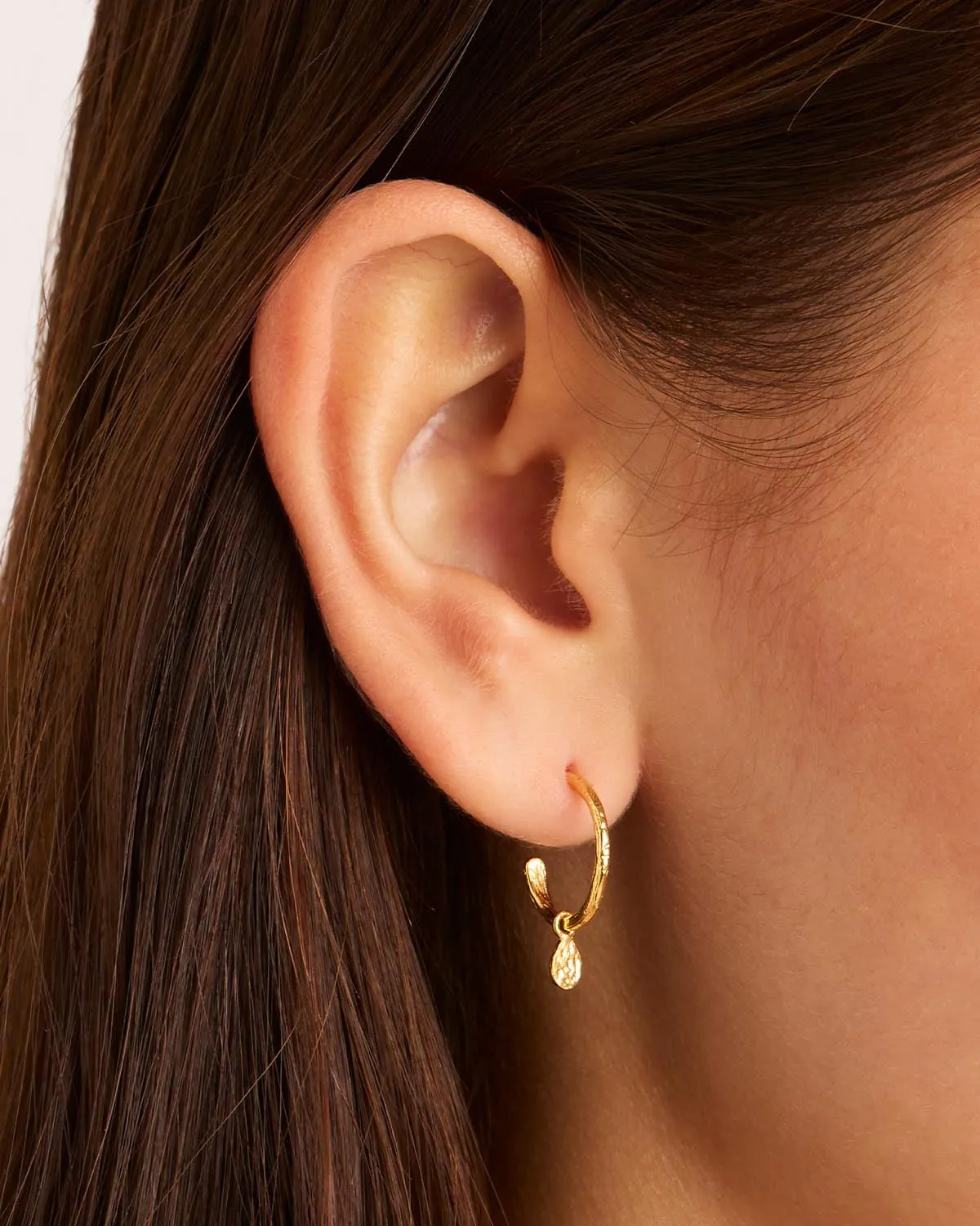 18k Gold Vermeil Grace Hoops Bycharlotte