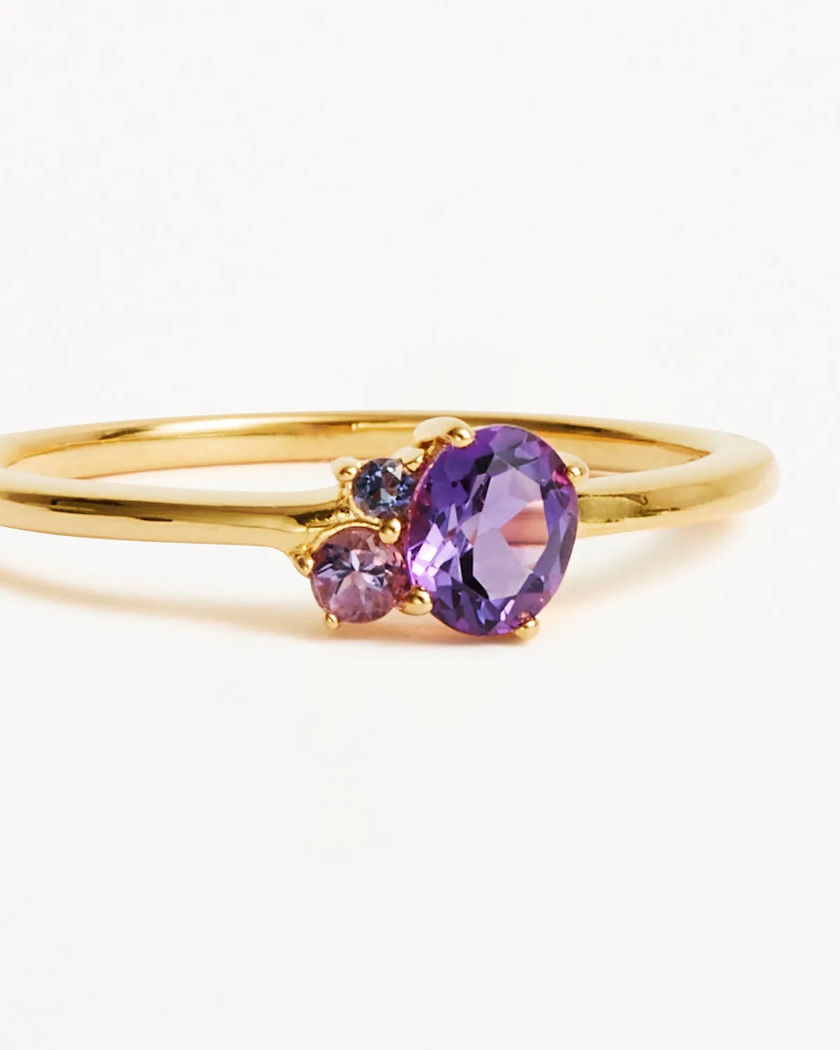 18k Gold Vermeil Kindred Birthstone Ring - February Bycharlotte