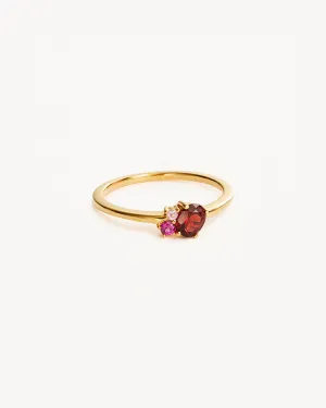 18k Gold Vermeil Kindred Birthstone Ring - January Bycharlotte