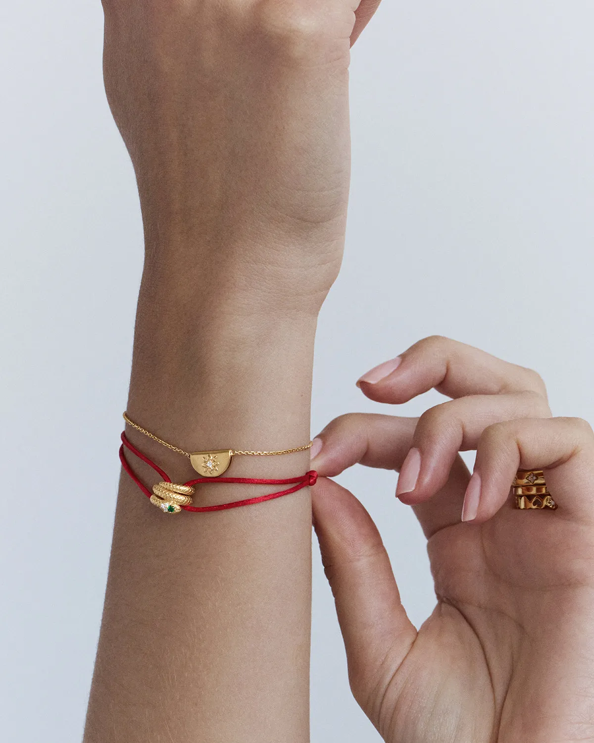 18k Gold Vermeil Snake Petal Charm Bycharlotte