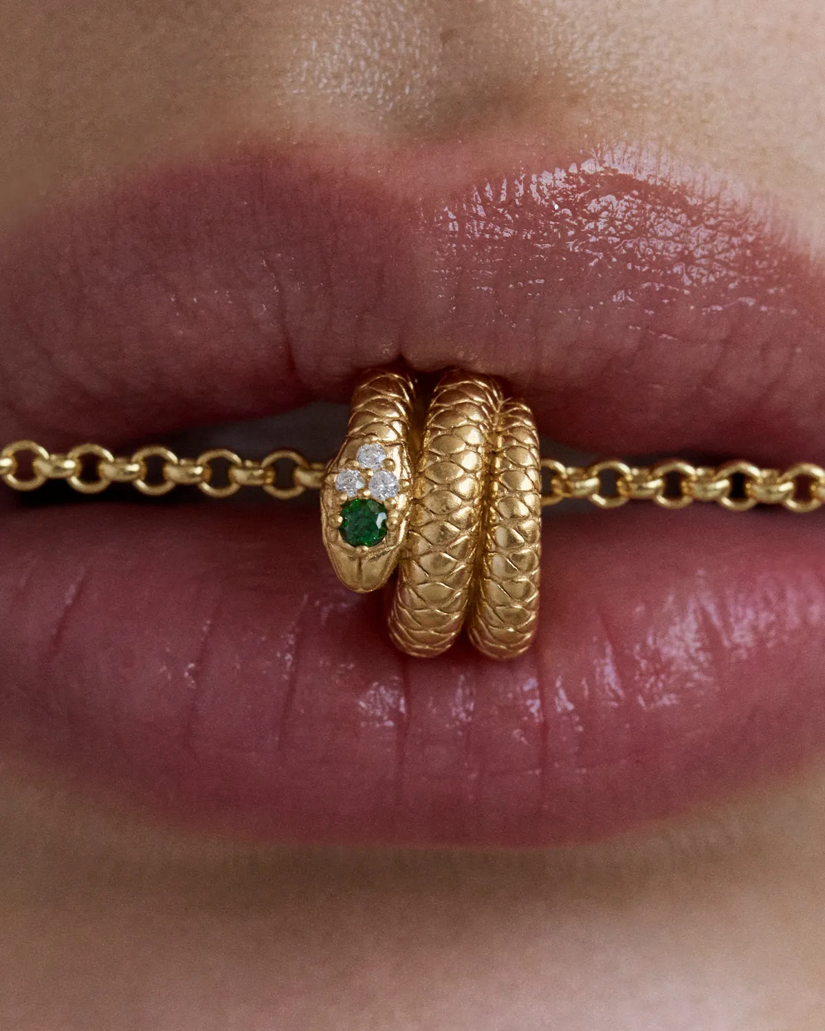 18k Gold Vermeil Snake Petal Charm Bycharlotte