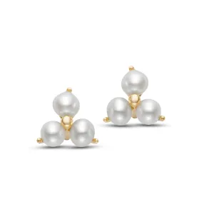 Freshwater Pearl Trio 14K Yellow Gold Stud Earrings Croghans