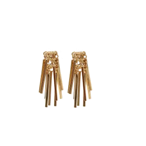 Fringe Earrings