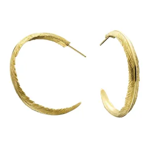 Grainger McKoy 14K Yellow Gold Narrow Feather Earrings Croghans