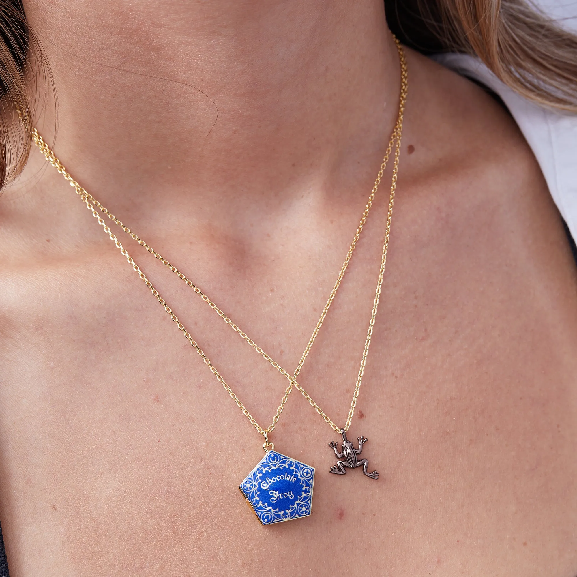 Harry Potter Chocolate Frog Necklace Set