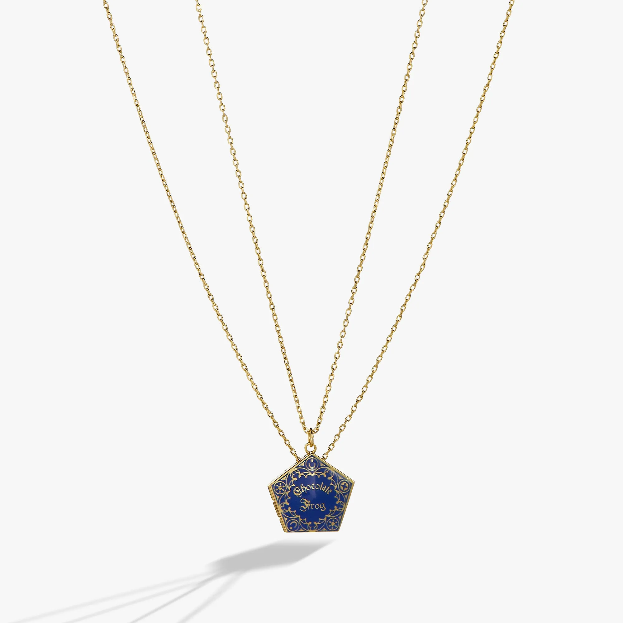 Harry Potter Chocolate Frog Necklace Set