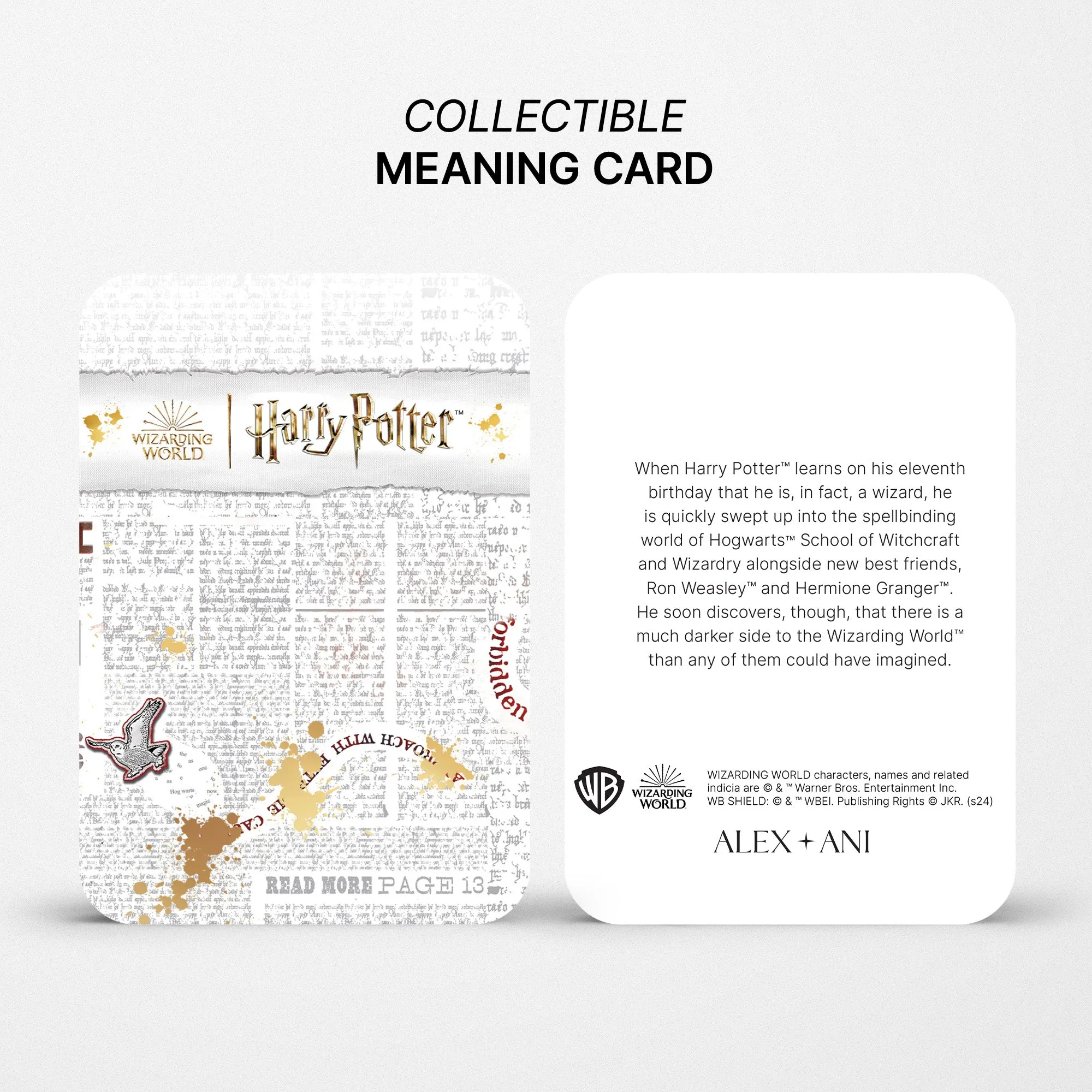 Harry Potter Sorcerers Stone Bangle Set