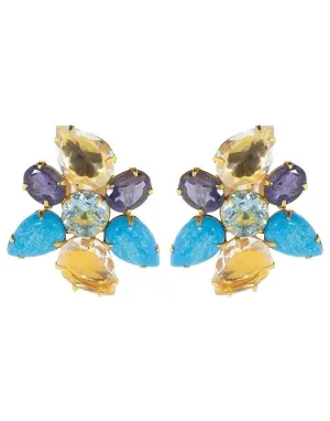 Iolite and Quartz Earrings