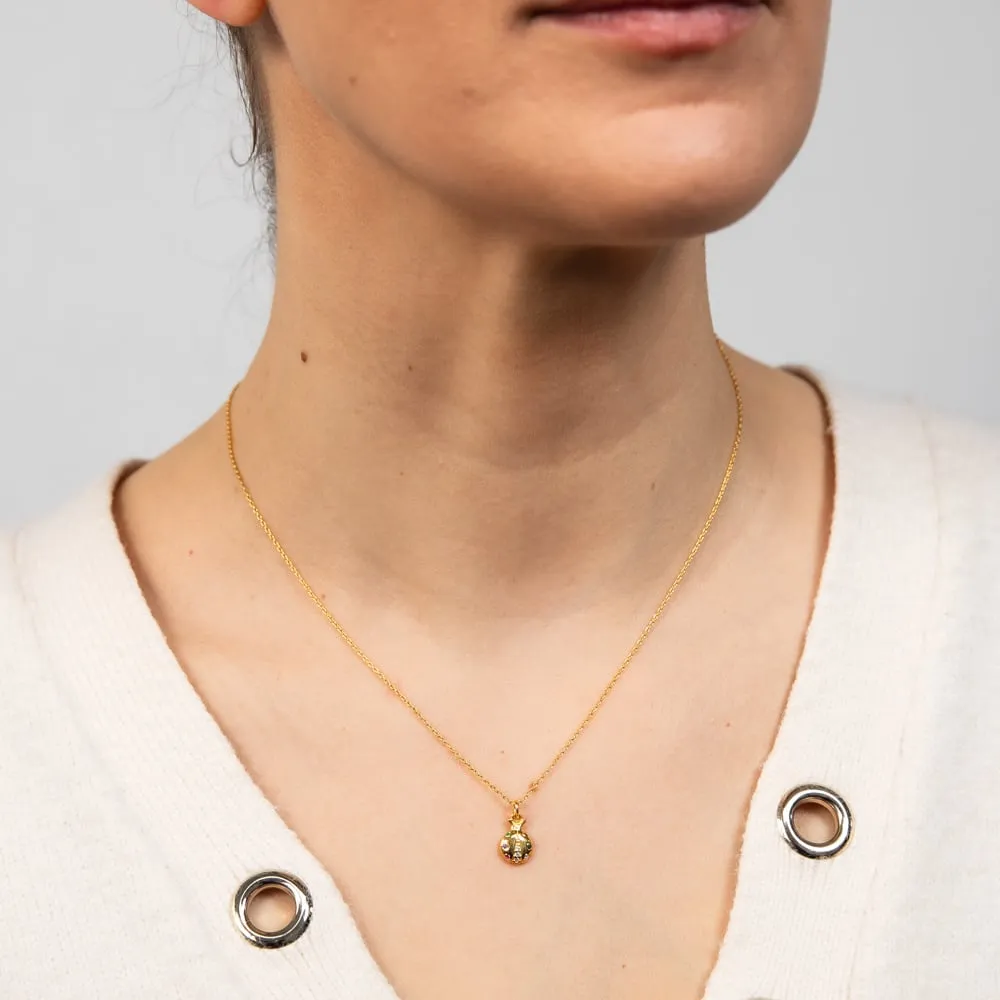 Sterling Silver Gold Plated Lady Bug Multi Color Zirconia Pendant With 45cm Chain Shiels
